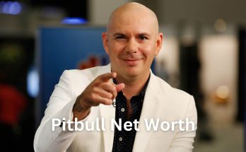 Pitbull Net Worth