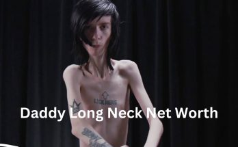 Daddy Long Neck Net Worth