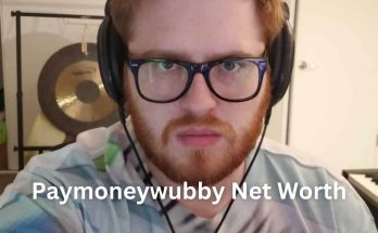 Paymoneywubby Net Worth